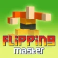 Flipping Master – Online Flip & Jump Game