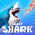 Crazy Shark – Online Shark Attack Game